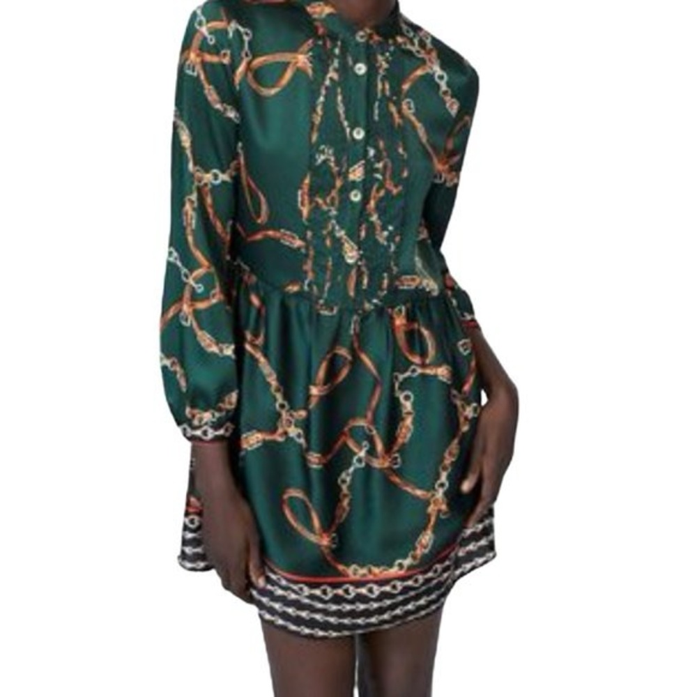 Zara Green Chain Pattern Long Sleeve Dress - Picture 3 of 7
